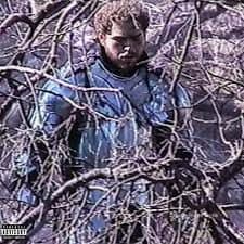 Listen to Post Malone’s new song “Circles”